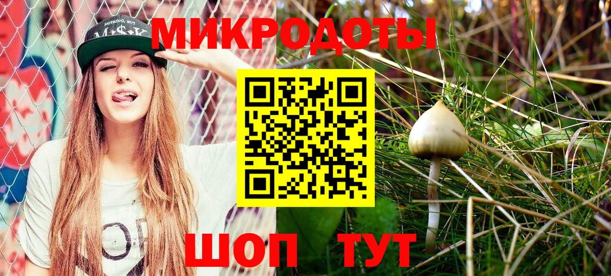Псилоцибиновые грибы GOLDEN TEACHER  Вход с VPN  Псилоцибиновые грибы Magic Shrooms  Коряжма 